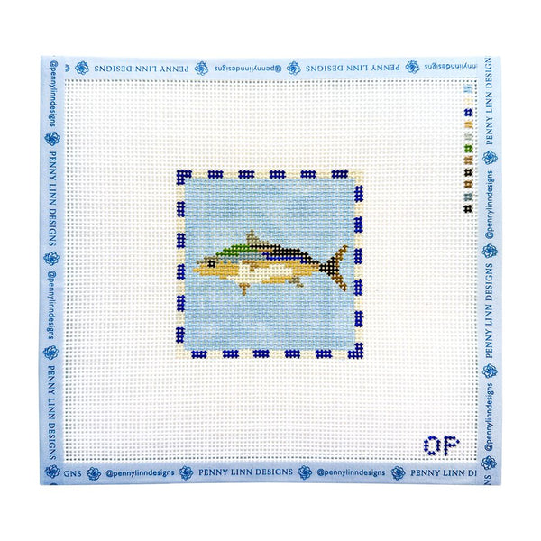 Fish with Border